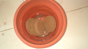 pot size 10 with 4 coco disc