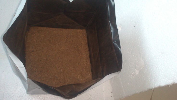 This is how the grow bag looks inside. Just need to add water, let it settle down for a day then add manure and its ready.